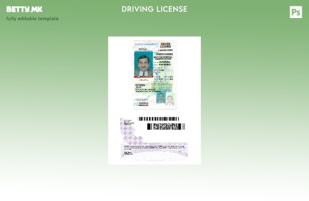 Возачка дозвола во модерен стил САД Северна Каролина под шаблон